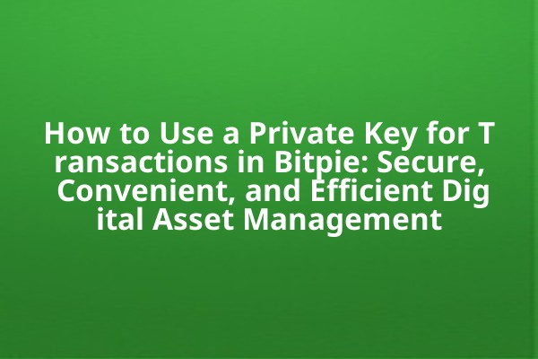 How to Use a Private Key for Transactions in Bitpie: Secure, Convenient, and Efficient Digital Asset Management