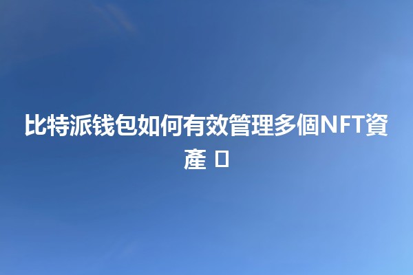 🌟 比特派钱包如何有效管理多個NFT資產 🖼️